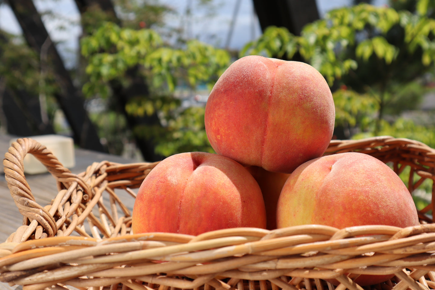 桃(黄桃セット)